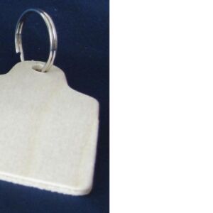 Houten sleutelhanger met ring, 45x80mm