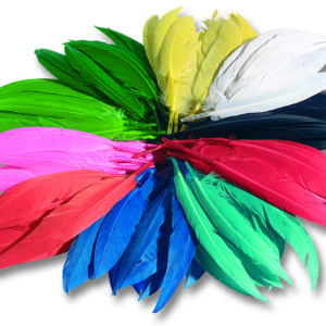Indianenveren, 10 - 20 cm, assortiment, 100 gram