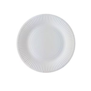Kartonnen bordjes wit, 18 cm, 20 stuks