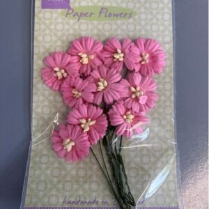 Papieren bloemen, margriet, helder roze, 10 stuks